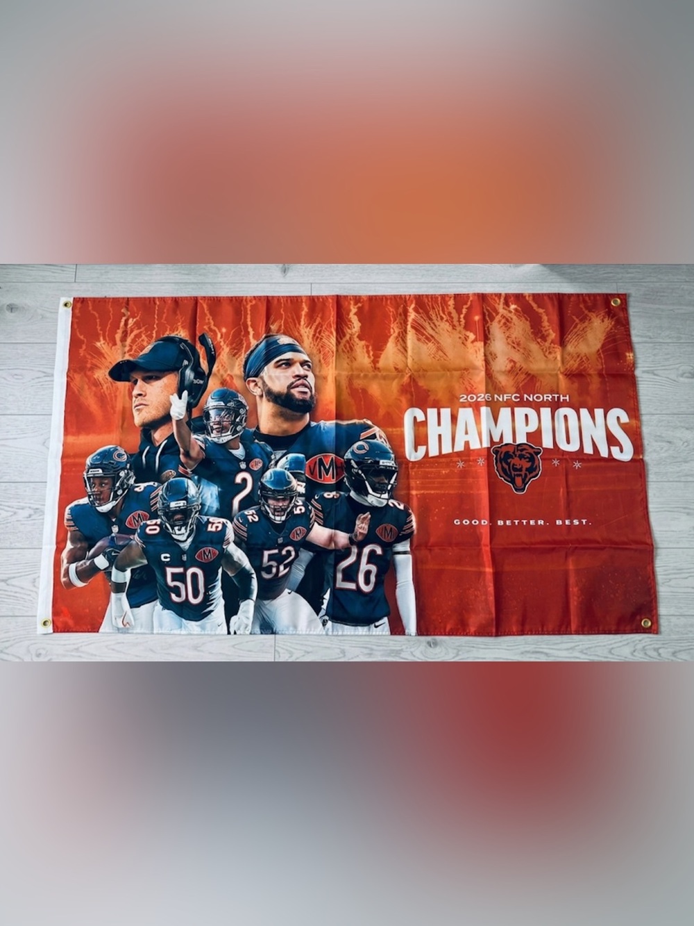 Chicago Bears 2025 NFC North Champions 3x5 Flag